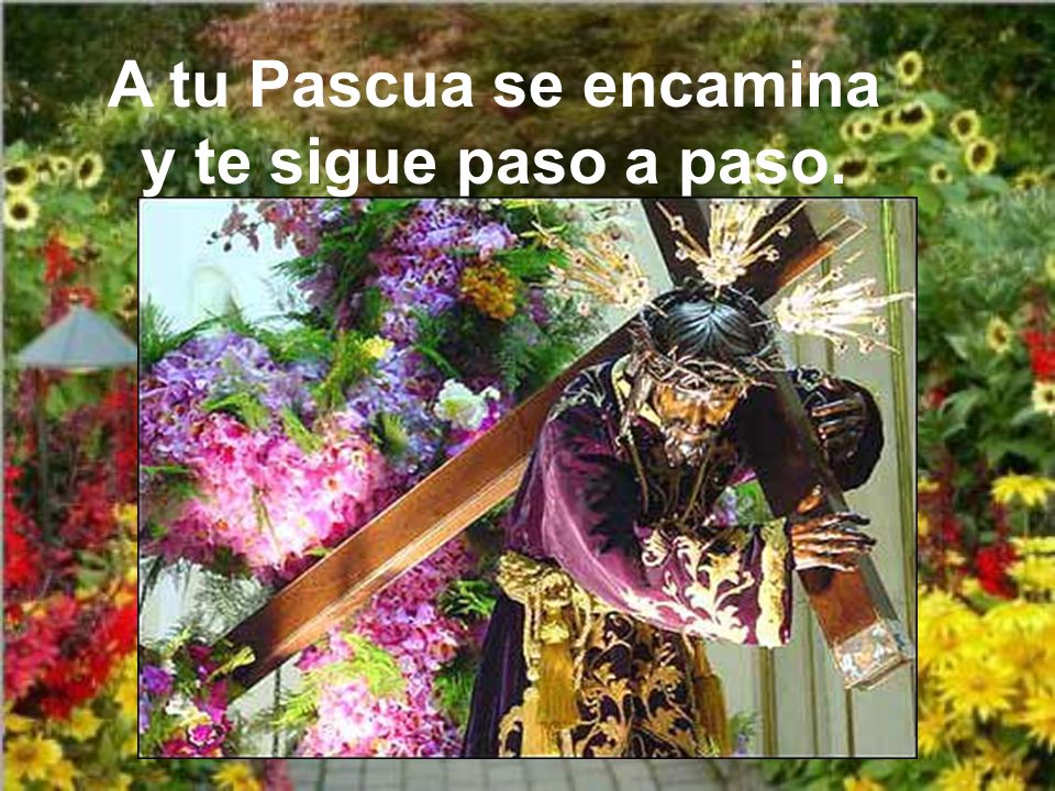 A tu Pascua se encamina y te sigue paso a paso.