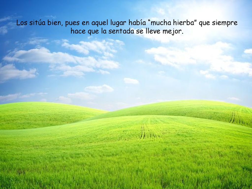 Los sitúa bien, pues en aquel lugar había mucha hierba que siempre hace que la sentada se lleve mejor.