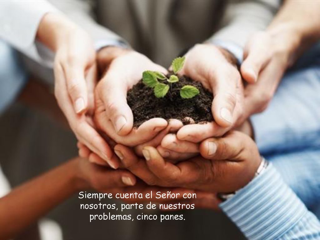 Siempre cuenta el Señor con nosotros, parte de nuestros problemas, cinco panes.