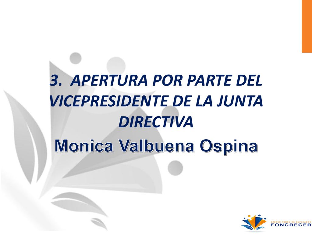 3. APERTURA POR PARTE DEL VICEPRESIDENTE DE LA JUNTA DIRECTIVA