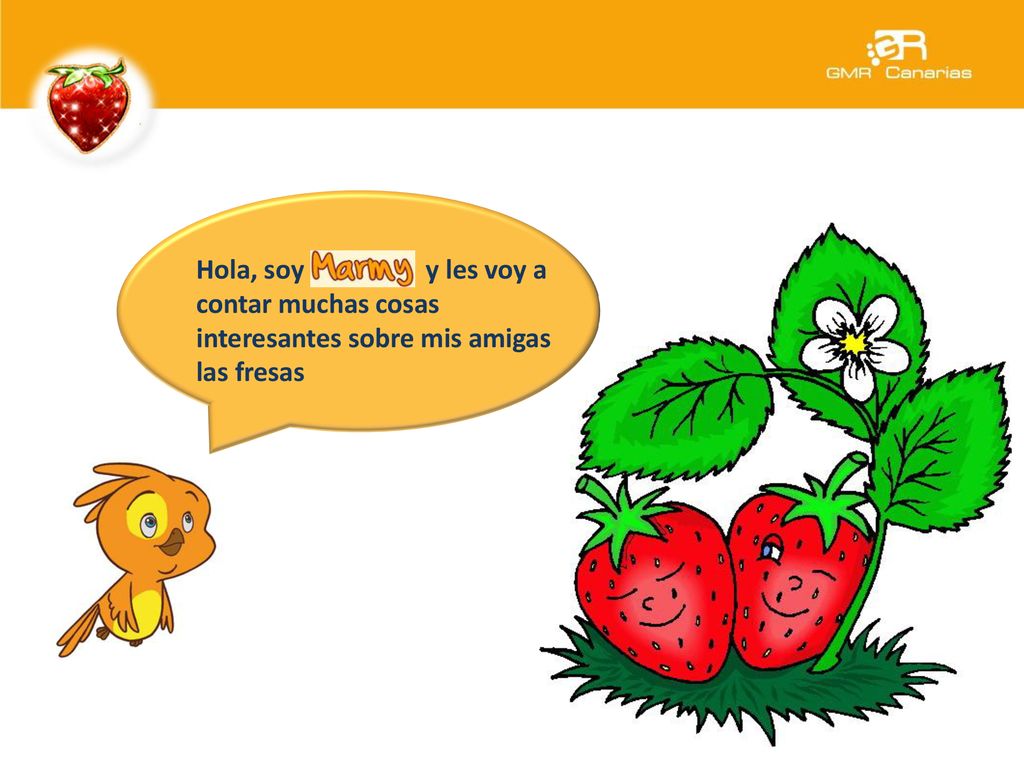 Hola, soy y les voy a contar muchas cosas interesantes sobre mis amigas las fresas
