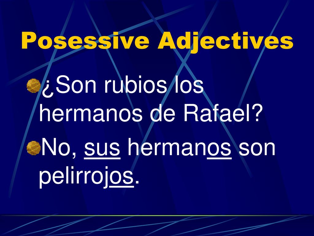 Posessive Adjectives ¿Son rubios los hermanos de Rafael No, sus hermanos son pelirrojos.
