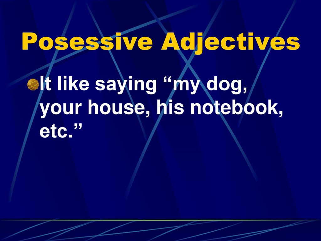 Posessive Adjectives It like saying my dog, your house, his notebook, etc.