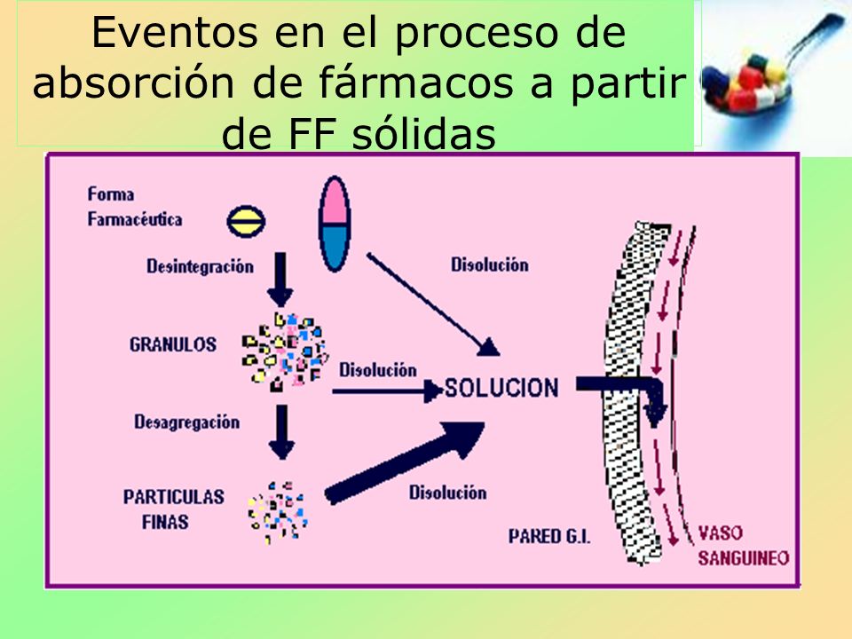 Eventos en el proceso de absorción de fármacos a partir de FF sólidas