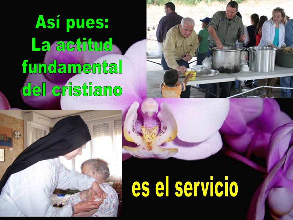 Así pues: La actitud fundamental del cristiano es el servicio