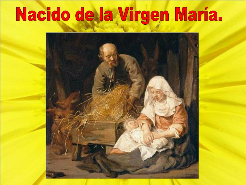 Nacido de la Virgen María.
