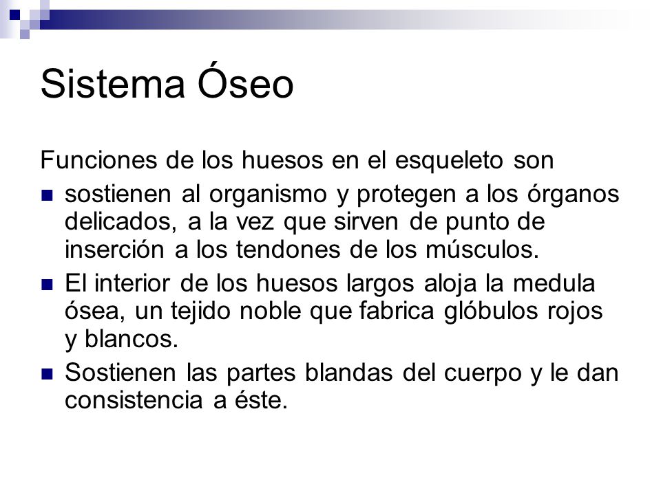 Sistema Óseo Funciones de los huesos en el esqueleto son
