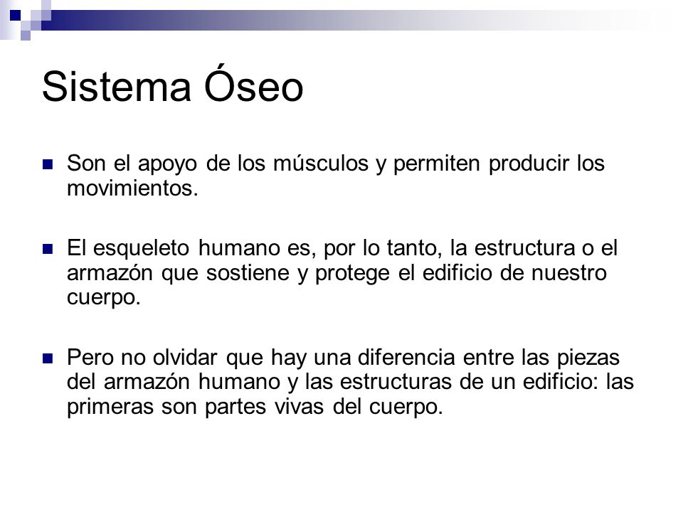 Sistema Óseo Son el apoyo de los músculos y permiten producir los movimientos.