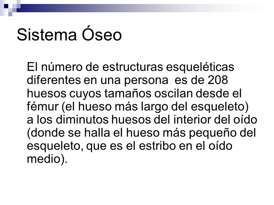 Sistema Óseo