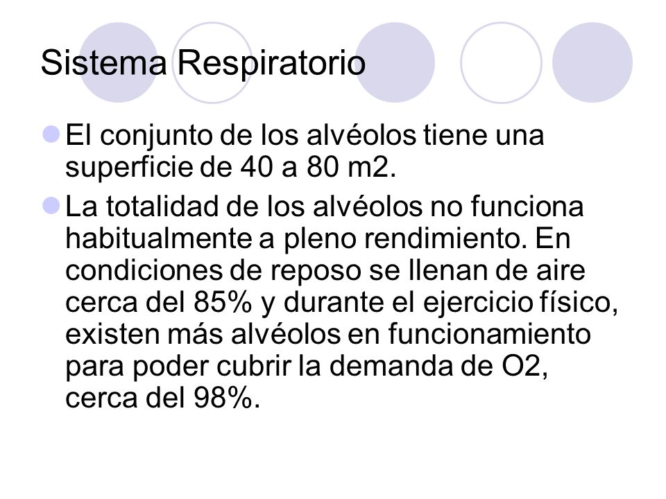 Sistema Respiratorio El conjunto de los alvéolos tiene una superficie de 40 a 80 m2.