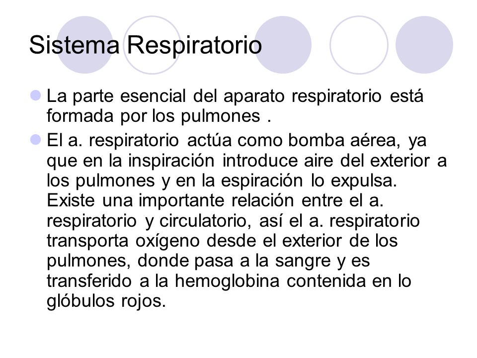 Sistema Respiratorio La parte esencial del aparato respiratorio está formada por los pulmones .