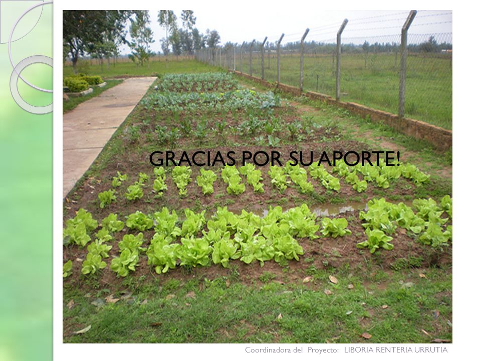 GRACIAS POR SU APORTE! Coordinadora del Proyecto: LIBORIA RENTERIA URRUTIA