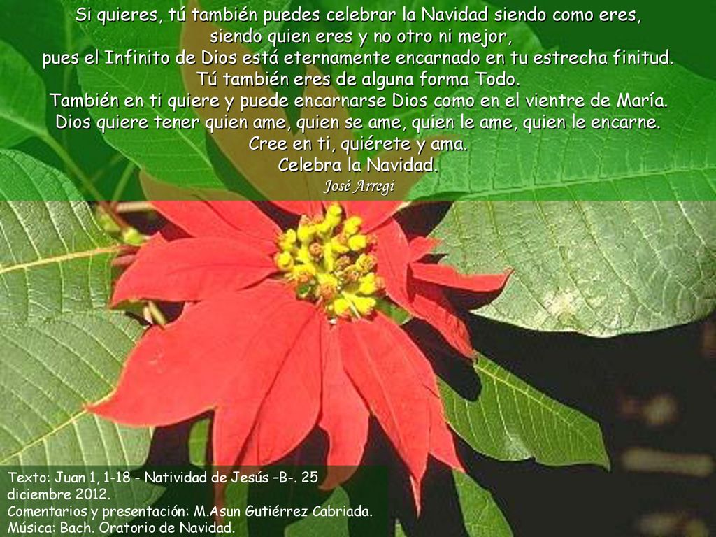 Si quieres, tú también puedes celebrar la Navidad siendo como eres, siendo quien eres y no otro ni mejor, pues el Infinito de Dios está eternamente encarnado en tu estrecha finitud. Tú también eres de alguna forma Todo. También en ti quiere y puede encarnarse Dios como en el vientre de María. Dios quiere tener quien ame, quien se ame, quien le ame, quien le encarne. Cree en ti, quiérete y ama. Celebra la Navidad.