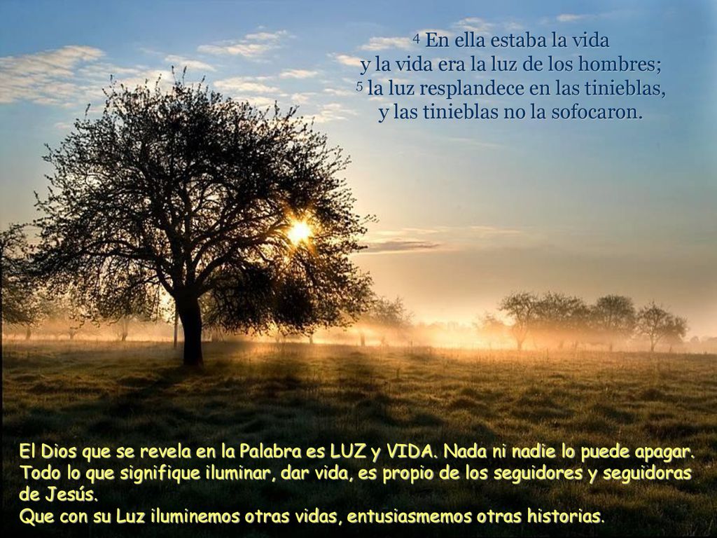 4 En ella estaba la vida y la vida era la luz de los hombres; 5 la luz resplandece en las tinieblas, y las tinieblas no la sofocaron.