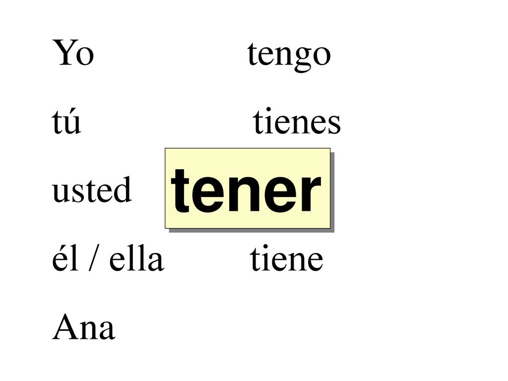 tener tener tener tener tener tener tener tener tener Yo tengo
