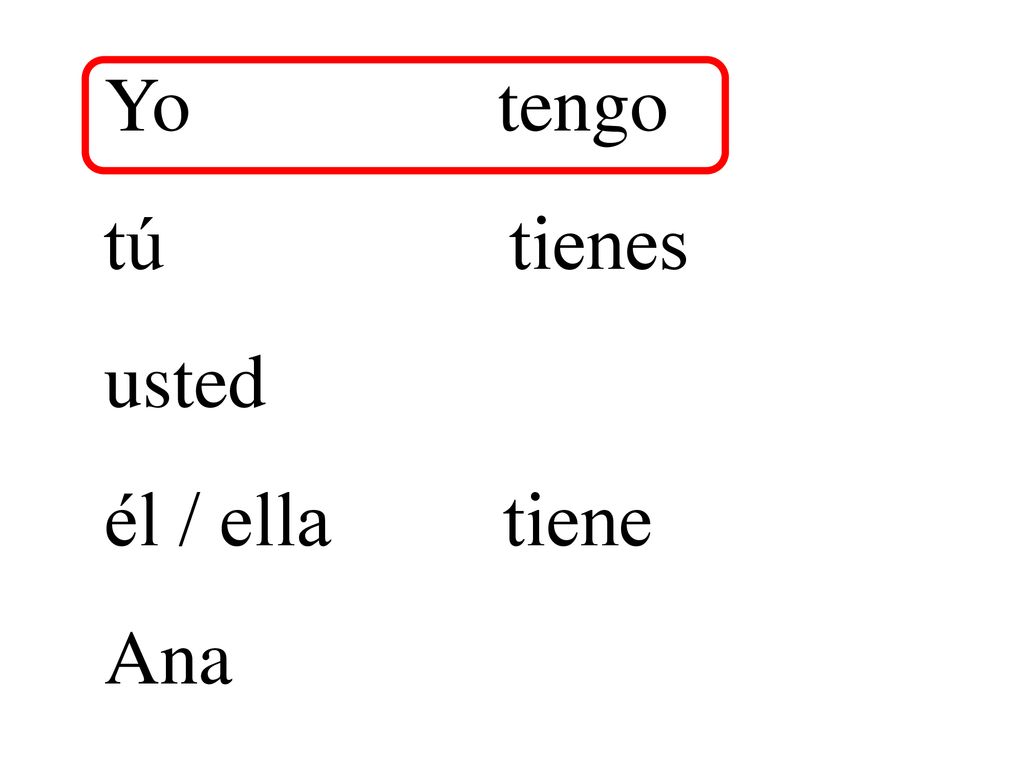 Yo tengo tú tienes usted él / ella tiene Ana