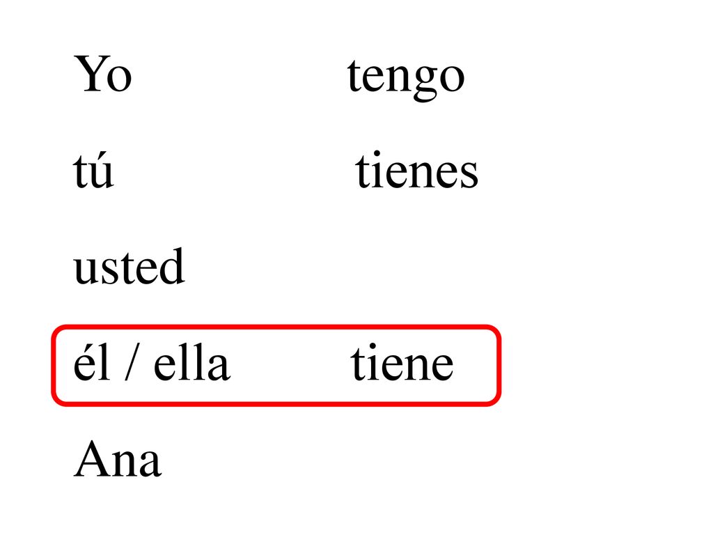 Yo tengo tú tienes usted él / ella tiene Ana Singular