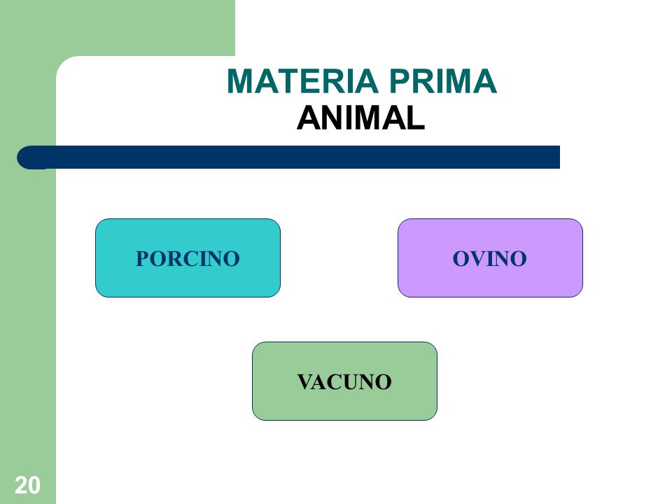 MATERIA PRIMA ANIMAL PORCINO OVINO VACUNO