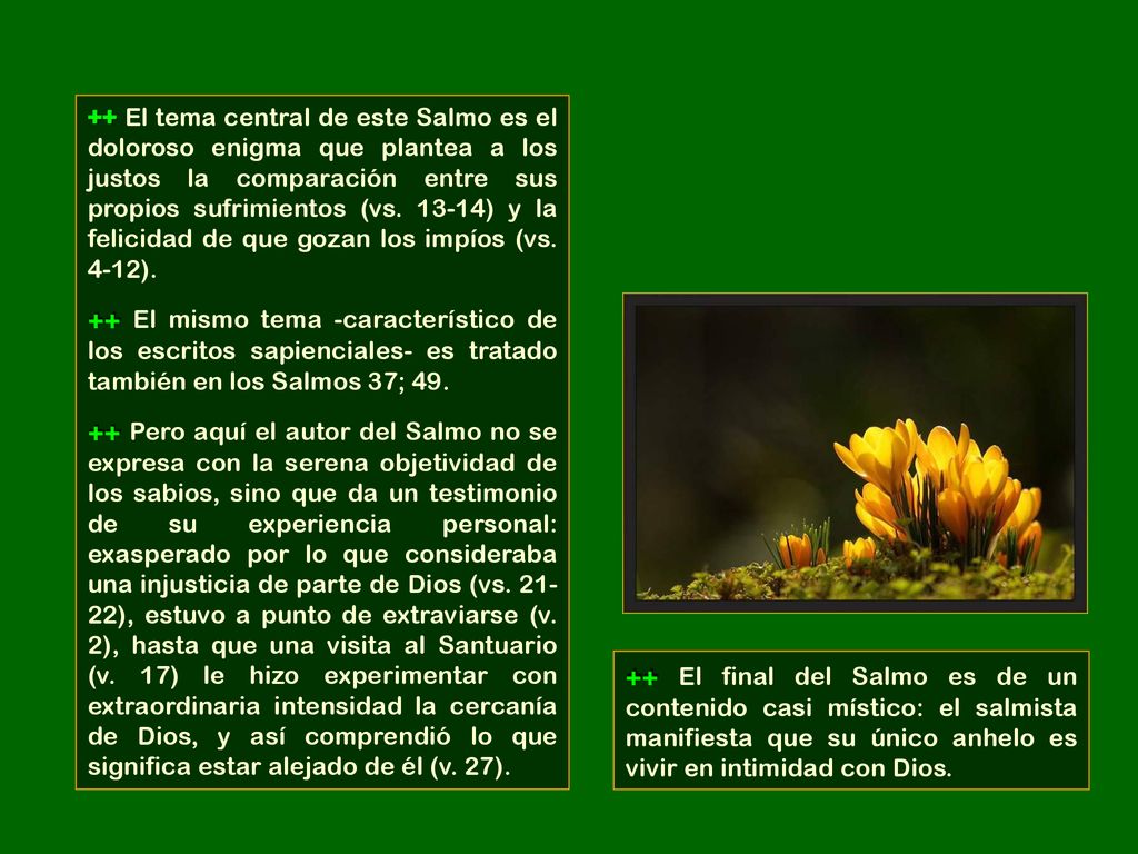 ++ El tema central de este Salmo es el doloroso enigma que plantea a los justos la comparación entre sus propios sufrimientos (vs ) y la felicidad de que gozan los impíos (vs. 4-12).