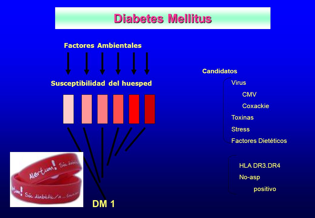 Diabetes Mellitus DM 1 Factores Ambientales Candidatos Virus CMV