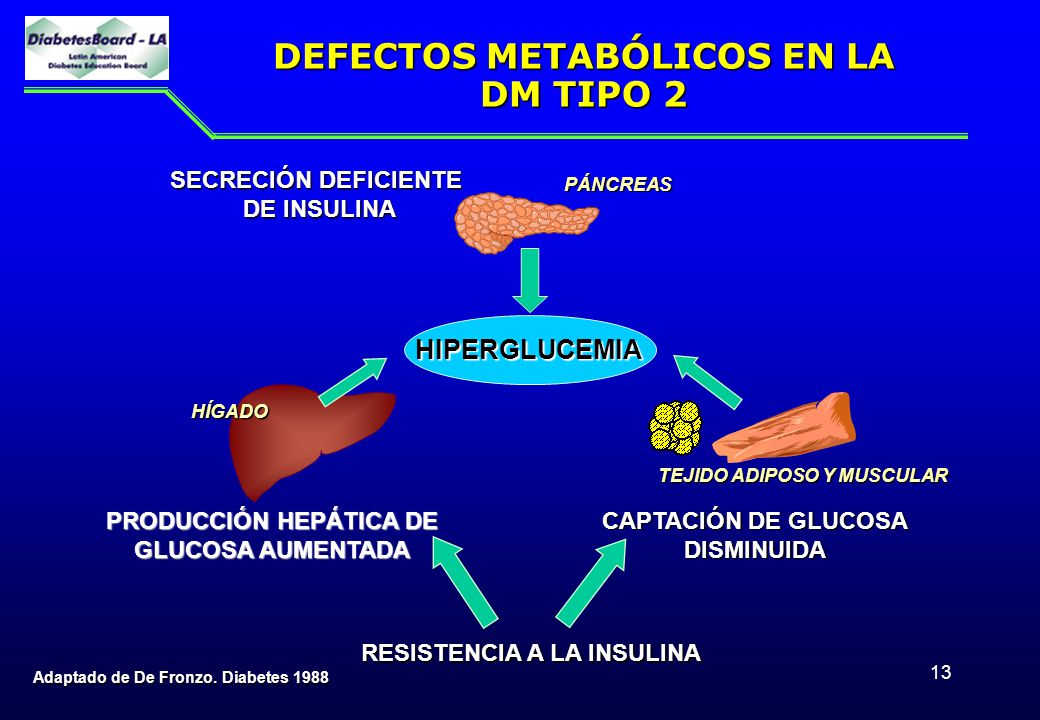 DEFECTOS METABÓLICOS EN LA DM TIPO 2