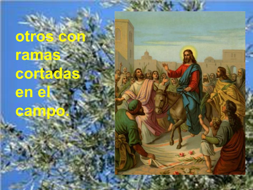 otros con ramas cortadas en el campo.