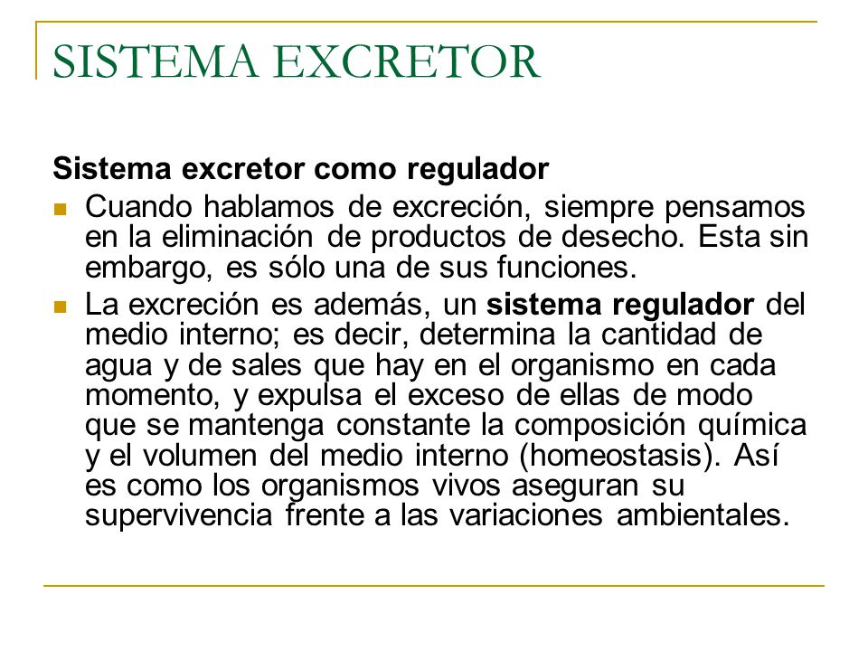 SISTEMA EXCRETOR Sistema excretor como regulador