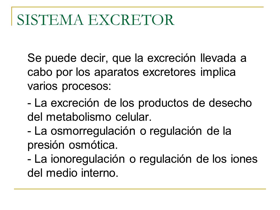 SISTEMA EXCRETOR Se puede decir, que la excreción llevada a cabo por los aparatos excretores implica varios procesos: