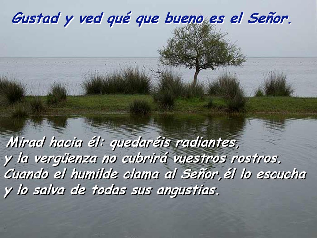 Gustad y ved qué que bueno es el Señor.