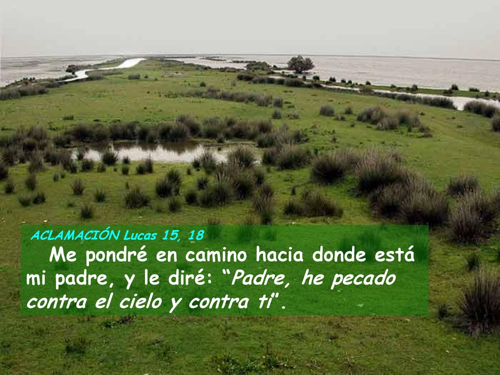 ACLAMACIÓN Lucas 15, 18 Me pondré en camino hacia donde está mi padre, y le diré: Padre, he pecado contra el cielo y contra ti .