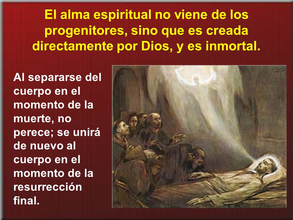 El alma espiritual no viene de los progenitores, sino que es creada directamente por Dios, y es inmortal.