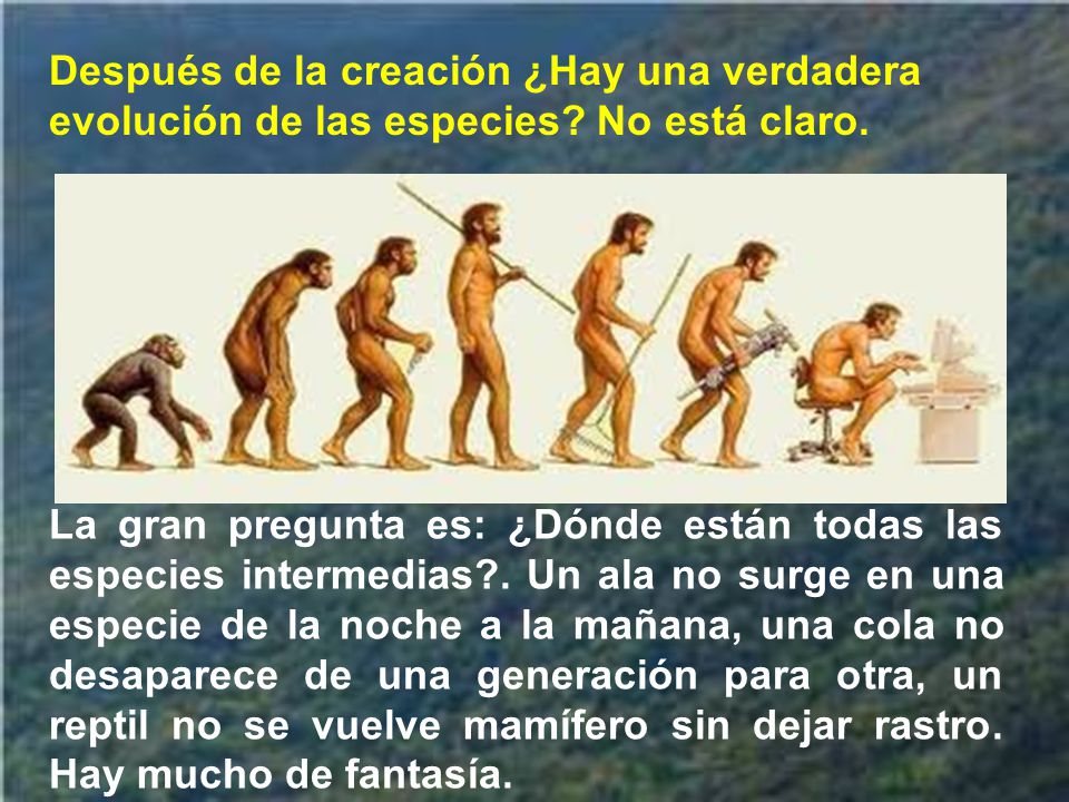 Después de la creación ¿Hay una verdadera evolución de las especies