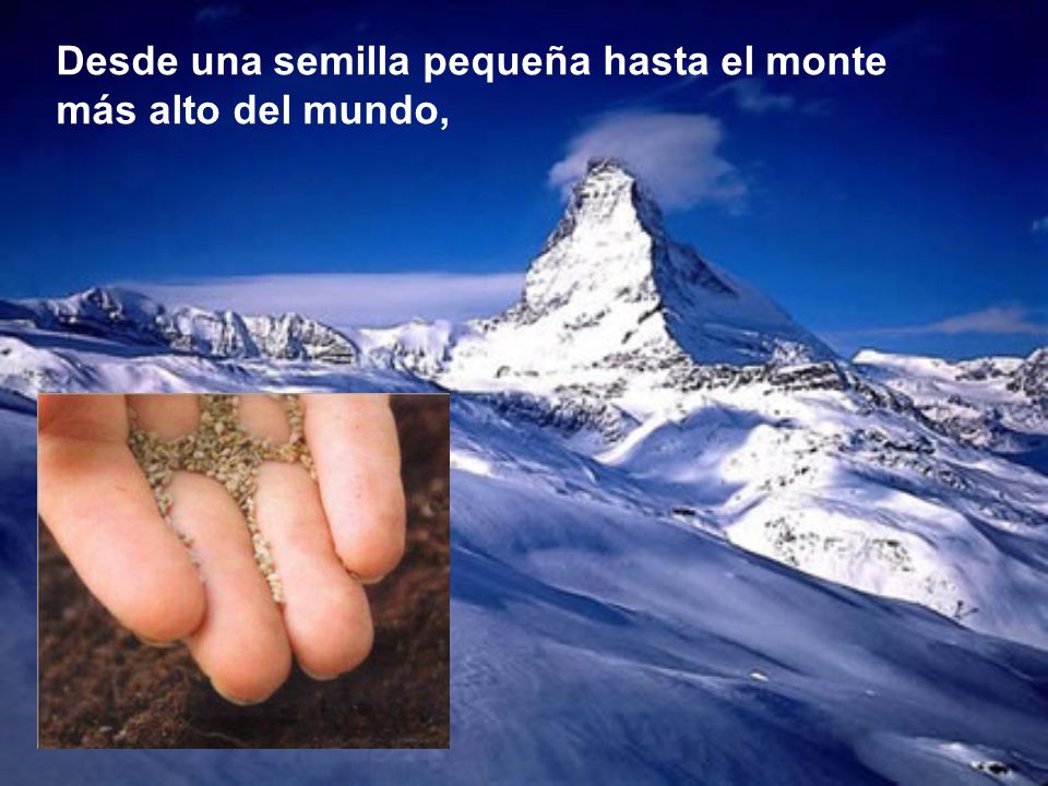Desde una semilla pequeña hasta el monte más alto del mundo,