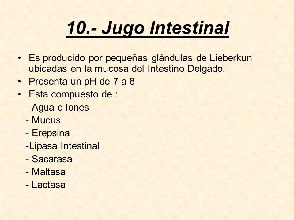 10.- Jugo Intestinal Es producido por pequeñas glándulas de Lieberkun ubicadas en la mucosa del Intestino Delgado.