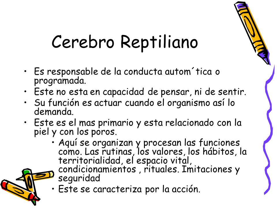 Cerebro Reptiliano Es responsable de la conducta autom´tica o programada. Este no esta en capacidad de pensar, ni de sentir.