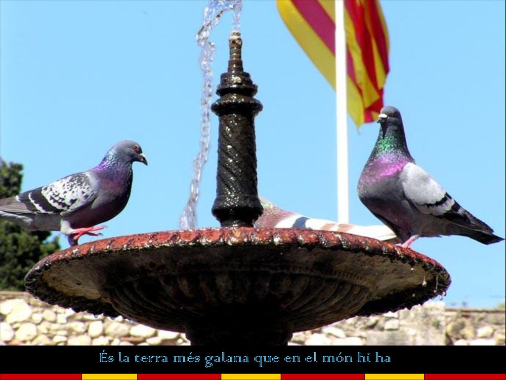 És la terra més galana que en el món hi ha