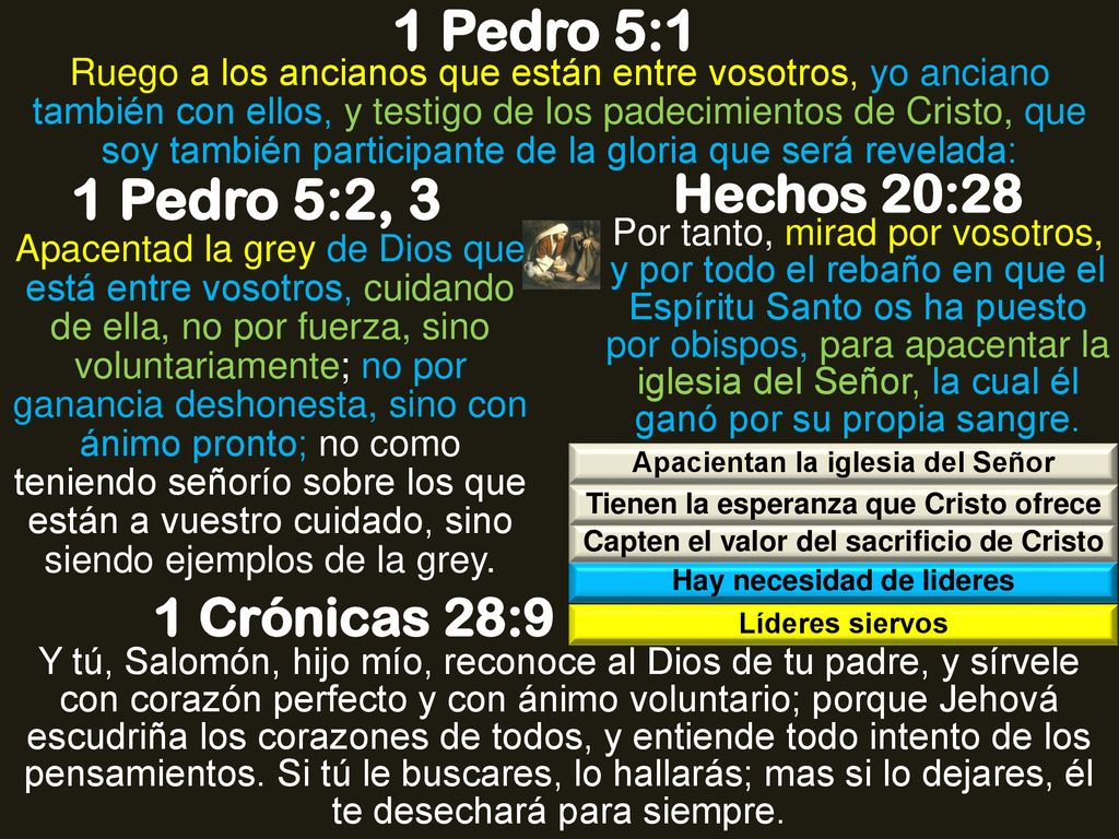 1 Pedro 5:1 1 Pedro 5:2, 3 Hechos 20:28 1 Crónicas 28:9