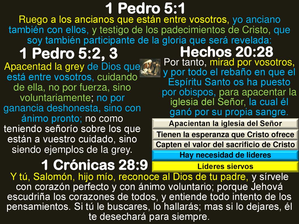 1 Pedro 5:1 1 Pedro 5:2, 3 Hechos 20:28 1 Crónicas 28:9