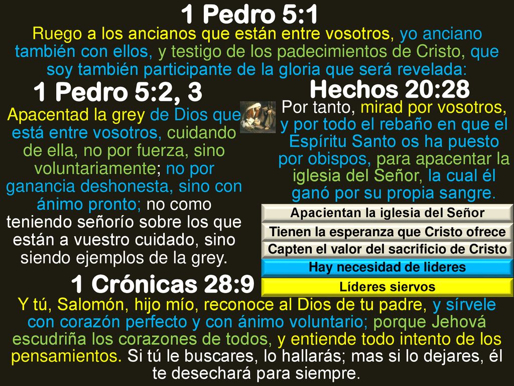 1 Pedro 5:1 1 Pedro 5:2, 3 Hechos 20:28 1 Crónicas 28:9