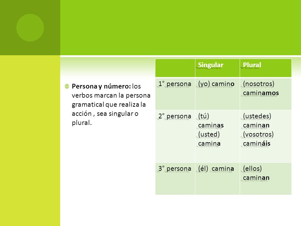 Singular Plural. 1° persona. (yo) camino. (nosotros) caminamos. 2° persona. (tú) caminas. (usted) camina.