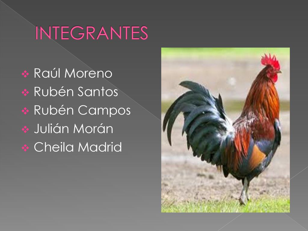 INTEGRANTES Raúl Moreno Rubén Santos Rubén Campos Julián Morán