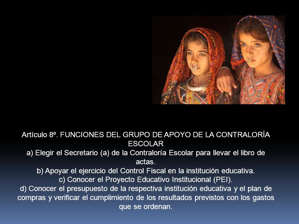 Artículo 8º. FUNCIONES DEL GRUPO DE APOYO DE LA CONTRALORÍA ESCOLAR
