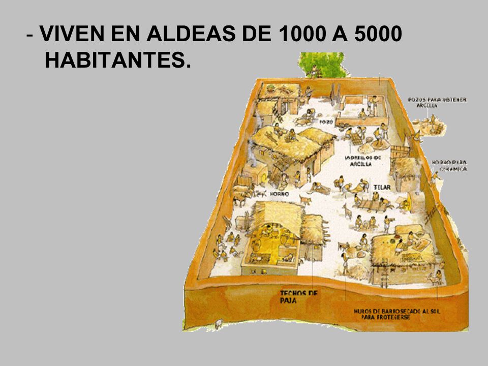 - VIVEN EN ALDEAS DE 1000 A 5000 HABITANTES.