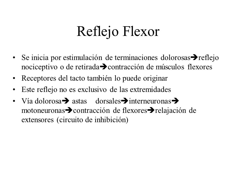 Reflejo Flexor Se inicia por estimulación de terminaciones dolorosasreflejo nociceptivo o de retiradacontracción de músculos flexores.