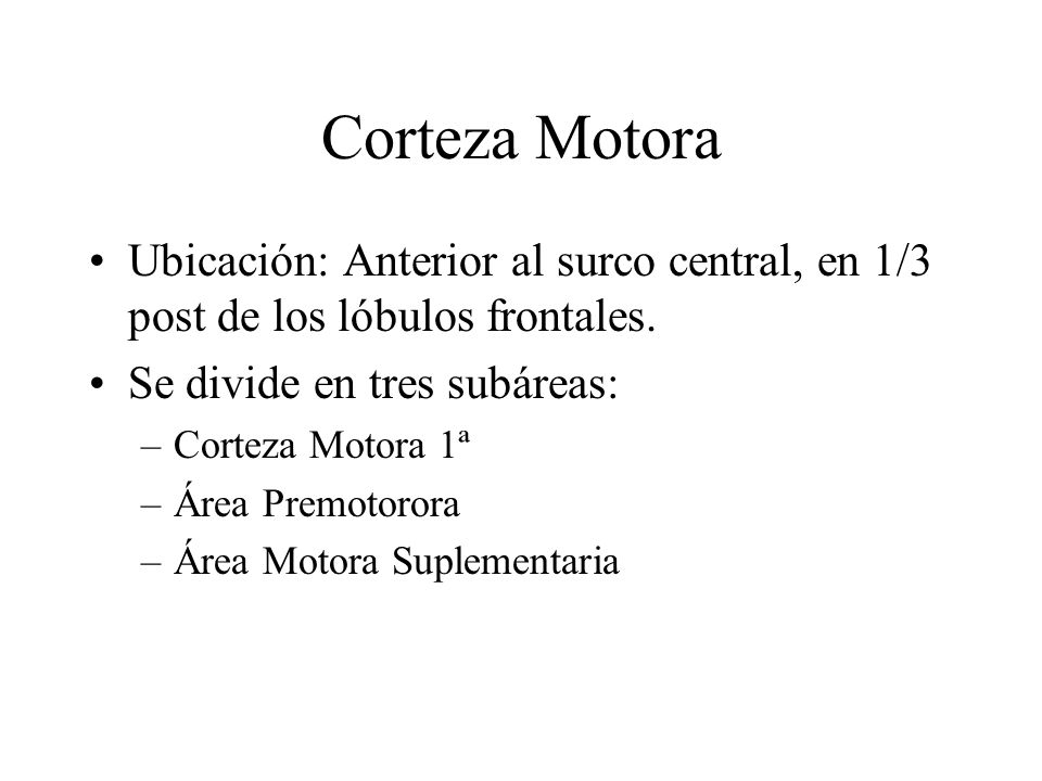 Corteza Motora Ubicación: Anterior al surco central, en 1/3 post de los lóbulos frontales. Se divide en tres subáreas: