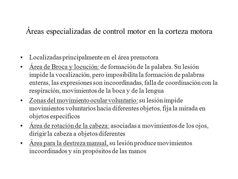 Áreas especializadas de control motor en la corteza motora