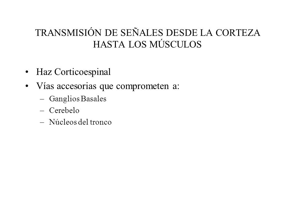 TRANSMISIÓN DE SEÑALES DESDE LA CORTEZA HASTA LOS MÚSCULOS