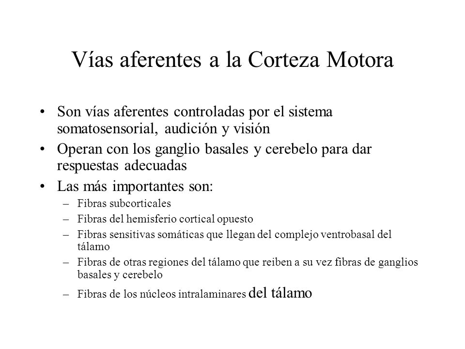 Vías aferentes a la Corteza Motora