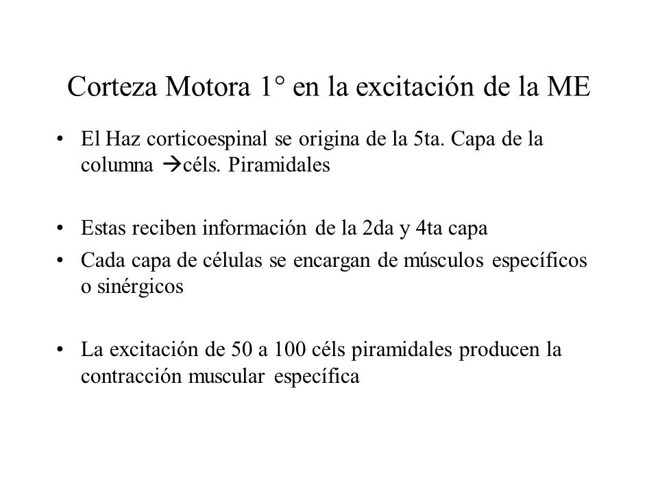 Corteza Motora 1° en la excitación de la ME