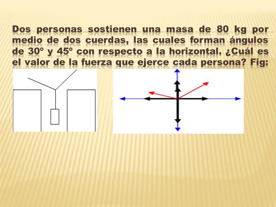 Dos personas sostienen una masa de 80 kg por medio de dos cuerdas, las cuales forman ángulos de 30º y 45º con respecto a la horizontal.